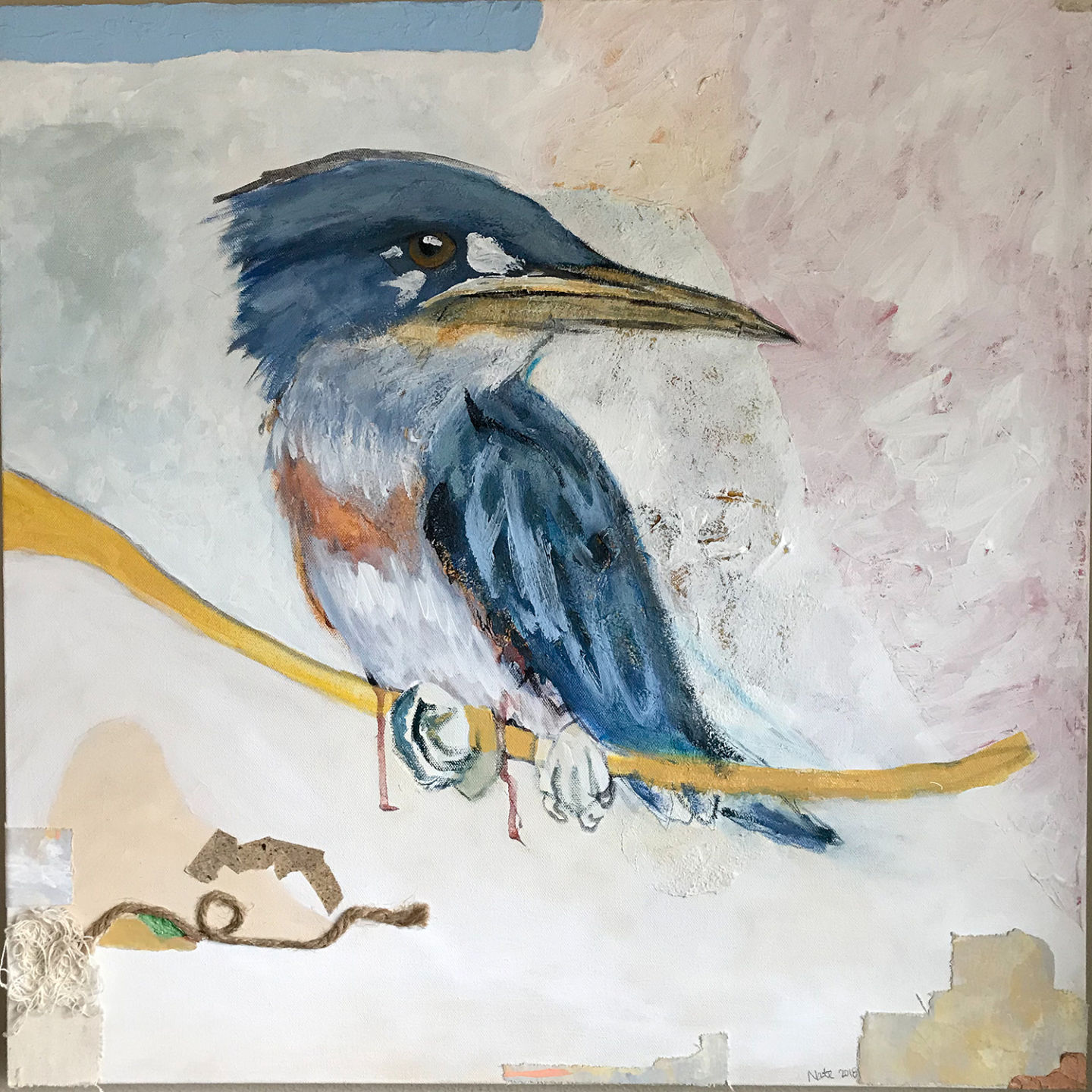 COLLAPSE kingfisher_program.jpg